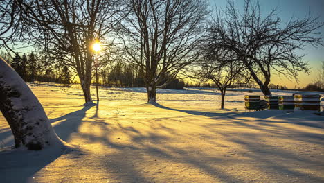 Tree-shadows-moving-over-the-snow-as-the-sun-crosses-the-winter-sky---time-lapse