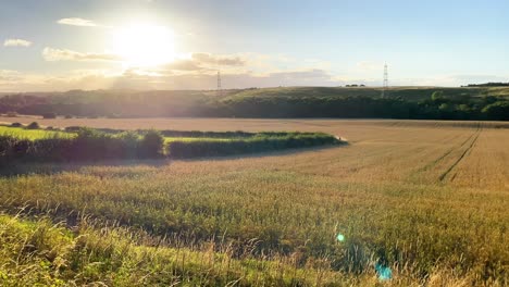 Beautiful-farm-field-at-sunset-in-England-with-cinematic-lens-flare