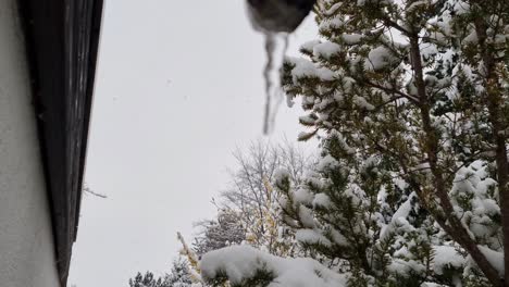 Snow-falls-with-dripping-icicle-blurred-in-foreground-during-winter-climate