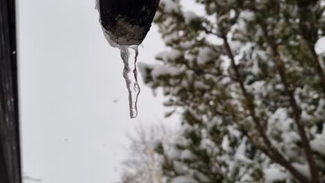 Close-up-of-icicle-dripping-as-it-melts-while-snow-falls-in-background