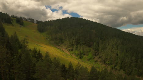 Immergrüne-Kiefern-Der-Zlatibor-region,-Luftbild