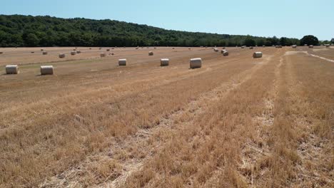 Aerial-view-raked-field-with-hay-bales
