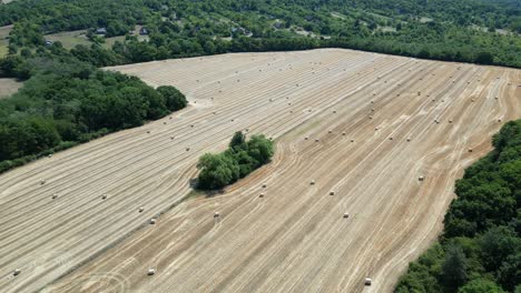 Wide-angle-top-down-aerial-view-hay-bales-on-farmers-field-in-Slovakia