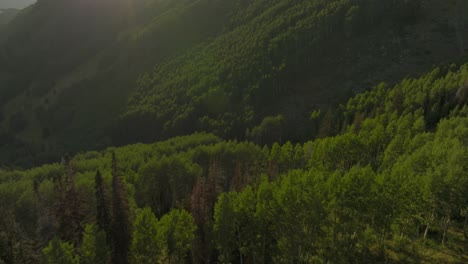 Aerial-FPV-over-backcountry-mountain-range-and-forest-at-sunset-1