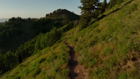 Aerial-of-backcountry-mountain-trail-near-forest-at-sunset