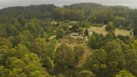 Smooth-aerial-decent-and-orbit-around-botanical-garden-covering-on-hillside