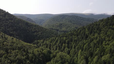 Drone-View-of-Mountains-in-Spain-Covered-in-Forest,-Pine-Wood---Dolly-Shot