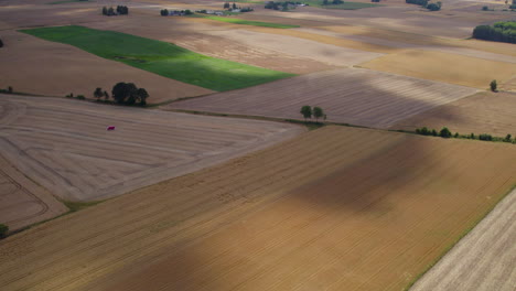 Extenso-Campo-Agrícola-Cultivado-En-El-Campo-temporada-De-Cosecha-En-Polonia