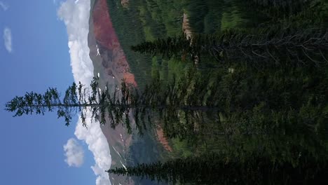 Vertical-aerial-shot-reveal---Pine-trees-then-scenic-beautiful-mountains