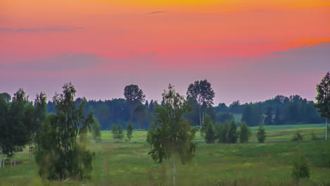 Timelapse-shot-of-sun-setting-in-timelapse-along-red-sky-over-birch-trees-during-evening-time-over-rural-landscape