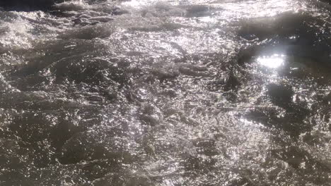 Powerful-rapids-water-waves-flowing-through-natural-river-under-sun-light