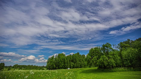 Static-shot-of-white-cloud-movement-in-timelapse-along-green-grasslands-on-the-outskirts-of-a-forest