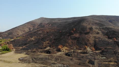 Deserted-mountain-after-the-fire-with-burned-trees-and-grass-covered-in-black-ash
