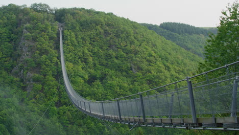 Geierlay-suspension-bridge-wide-shot-in-morning-on-summer-day