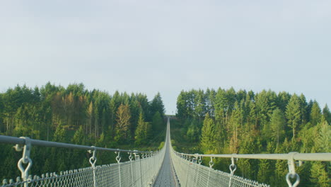 Geierlay-suspension-bridge-wide-shot-in-morning-on-summer-day-pov