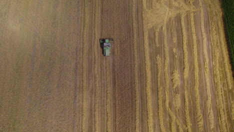 Aerial-birds-eye-shot-of-combine-harvester-cutting-on-wheat-field-during-summer-day