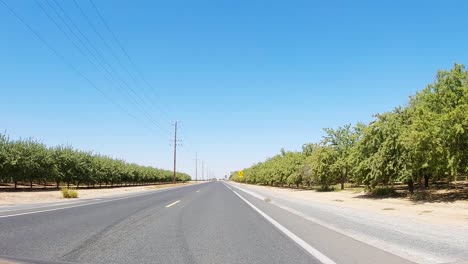 Conduciendo-Por-Una-Carretera-Entre-Huertos-En-Un-Soleado-Día-De-California