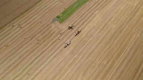 Aerial-Overhead-View-Of-Harvesters-And-Tractors-Working-Together-To-Collect-Wheat
