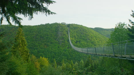 Geierlay-suspension-bridge-wide-shot-in-morning-on-summer-day-gimbal