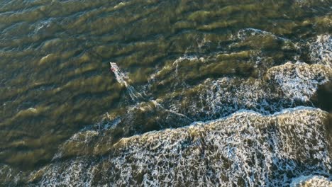 Windsurfer-riding-waves-out-to-shore,-overhead-aerial-view