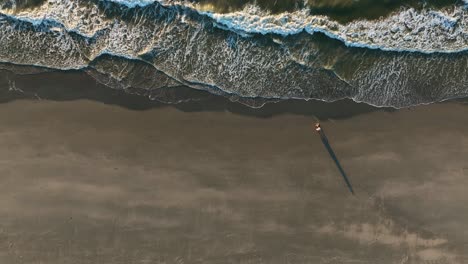 Aerial-top-down-shot-of-couple-walking-alone-sandy-beach-at-sunset-in-Netherlands---Waves-of-North-Sea-reaching-shoreline