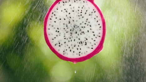Dragon-Fruit-Slice-Splashed-by-Water-Droplet-Mist-with-Liquid-Drip-in-Slow-Motion-Bright-Backlit-Background