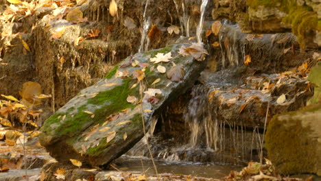 Beautiful-autumn-scene-with-water-flowing-over-fallen-leaves-in-close-up-pan-left