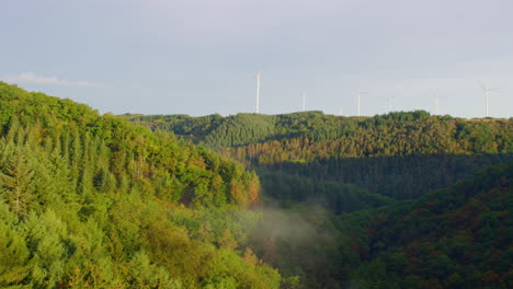 Strom-Windmühlenpark-Neben-Wald-Am-Sommermorgen