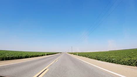Driving-through-a-vineyard-in-the-Fresno,-California-wine-country-area