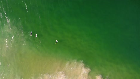 Aerial-drone-bird's-eye-view-of-bodyboarder-waiting-landscape-of-ocean-floor-sandbar-coastline-break-waves-tourism-travel-The-Entrance-NSW-Central-Coast-Australia-4K