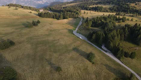 Vistas-Aéreas-De-Un-Bosque-En-La-Región-De-Dolomitas-De-Trento