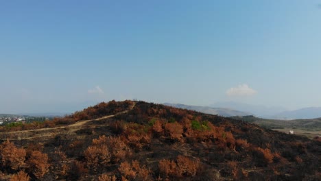 Over-burned-hill-covered-by-black-ash-and-dry-trees-after-a-massive-fire
