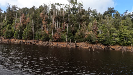 Mit-Einem-Boot-Einen-Fluss-Hinunterfahren,-Während-Bäume-An-Den-Ufern-In-Der-Wildnis-Vorbeirauschen