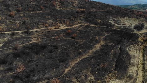 Schwarze-Erde-Nach-Feuer-Verbrannte-Bäume-Und-Gras-Auf-Hügel,-Verlassene-Landschaft-Nach-Der-Tragödie