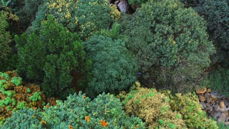 Aerial-view-of-the-Morogoro-rock-garden-2