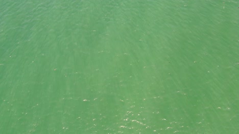 Drohne-Luftaufnahme-Vogelperspektive-Des-Ozeans-Vogelfliegende-Möwe-Natur-Landschaft-Pazifischer-Ozean-Zentrale-Küste-Der-Eingang-Nsw-Australien-4k