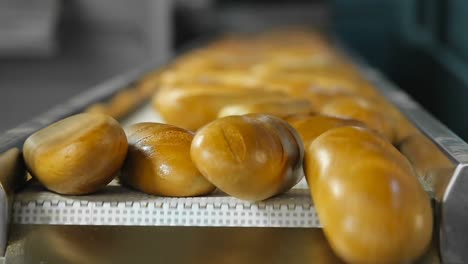 Processed-bread-in-a-factory,-rolling-out-from-the-production-line