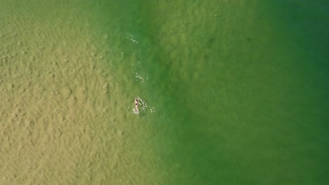 Drone-aerial-shot-of-sandbank-waves-breaking-ocean-floor-swimmer-paddling-stroke-tourism-travel-crystal-clear-Soldiers-beach-Central-Coast-NSW-Australia-4K