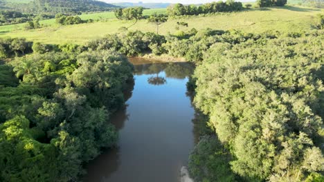 Auwald-Des-Tibagi-Flusses-Im-Bundesstaat-Paraná-Im-Süden-Brasiliens