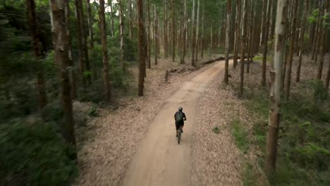Ciclista-En-Un-Camino-De-Tierra-A-Través-De-Un-Bosque-De-Eucaliptos