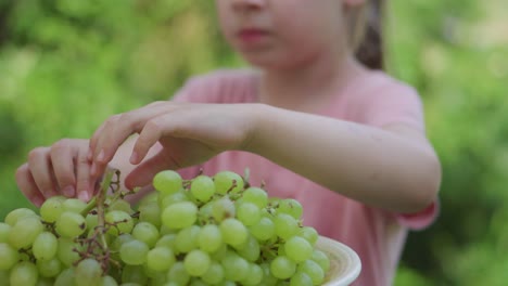 A-young-toddler-girl-is-eating-green-grapes-outside-during-the-summer-1