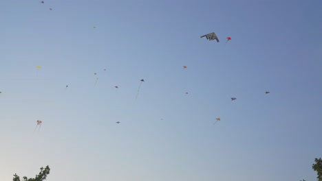 Shot-of-kites-flying-in-the-wind-during-a-very-beautiful-day-with-no-clouds-during-the-day