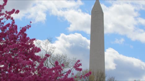 Plane-takes-off-behind-majestic-Washington-DC-obelisk-under-spring-blue-sky