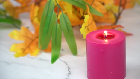 Red-candle-with-autumn-leaves-in-the-background