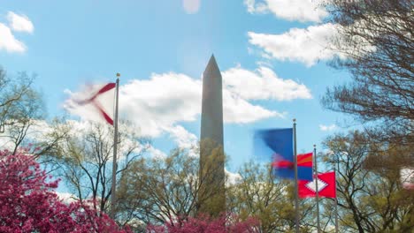 Washington-DC-obelisk-behind-waving-flags-under-spring-blue-sky---Timelapse