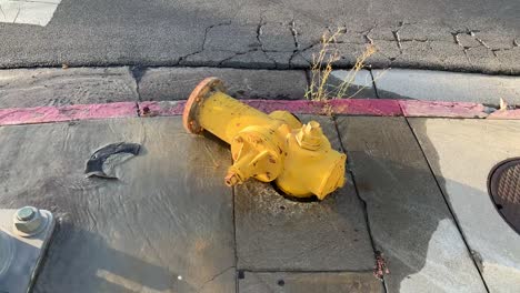 Fire-hydrant-leaking-large-amount-of-water