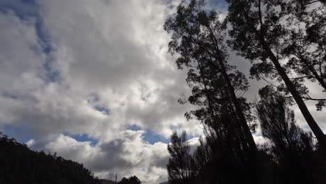 Lapso-De-Tiempo-De-Nubes-Moviéndose-A-Través-De-Un-Cielo-Azul-Sobre-árboles-Silueteados-En-Tasmania,-Australia