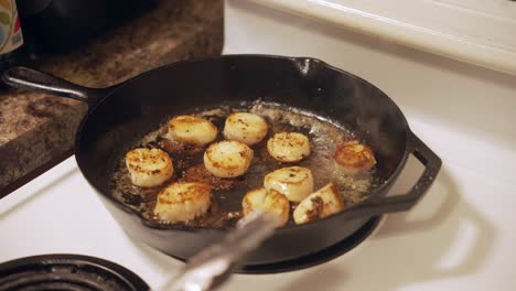 Cooking-Scallops-on-Frying-pan,-Seafood-delicacy,-Person-holds-Inox-tweezers,-Medium-shot