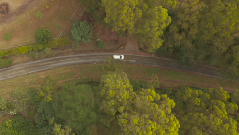 Aerial-perspective-tracking-white-vehicle-driving-along-dirt-road-below-tree-canopy