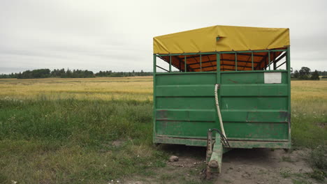 Medium-shot-of-a-yellow-field-with-a-green-and-yellow-trailer-in-the-foreground